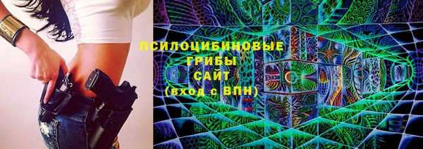 ALPHA PVP Бердск