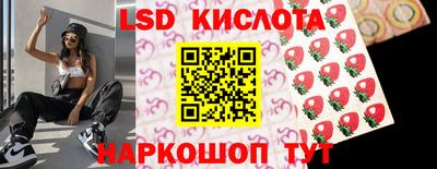 твердый Камышлов