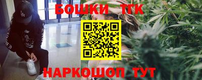 твердый Камышлов