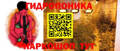 гашик Апрелевка