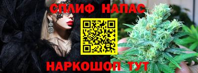 мяу мяу мука Кандалакша