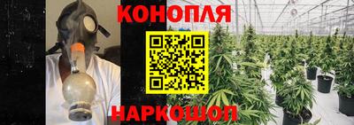 мяу мяу мука Кандалакша