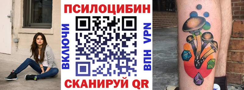 блэк спрут сайт  Нижнекамск  Галлюциногенные грибы Psilocybe  что такое наркотик 