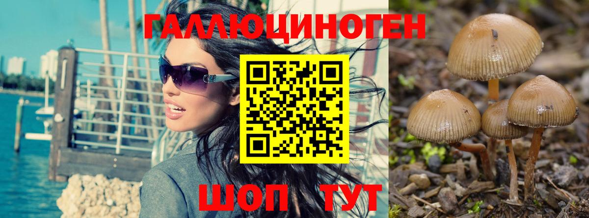 А ПВП СОЛЬ   Гашиш  Мефедрон кристаллы  Кокаин  MDMA  МАРИХУАНА  Нижнекамск  Вход с VPN  Мефедрон 