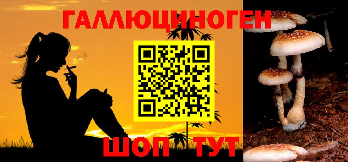Галлюциногенные грибы прущие грибы  Вход с VPN  наркотики  Нижнекамск 